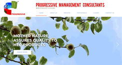 Desktop Screenshot of progressive-iso.com